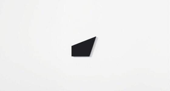 emphasis on negative space