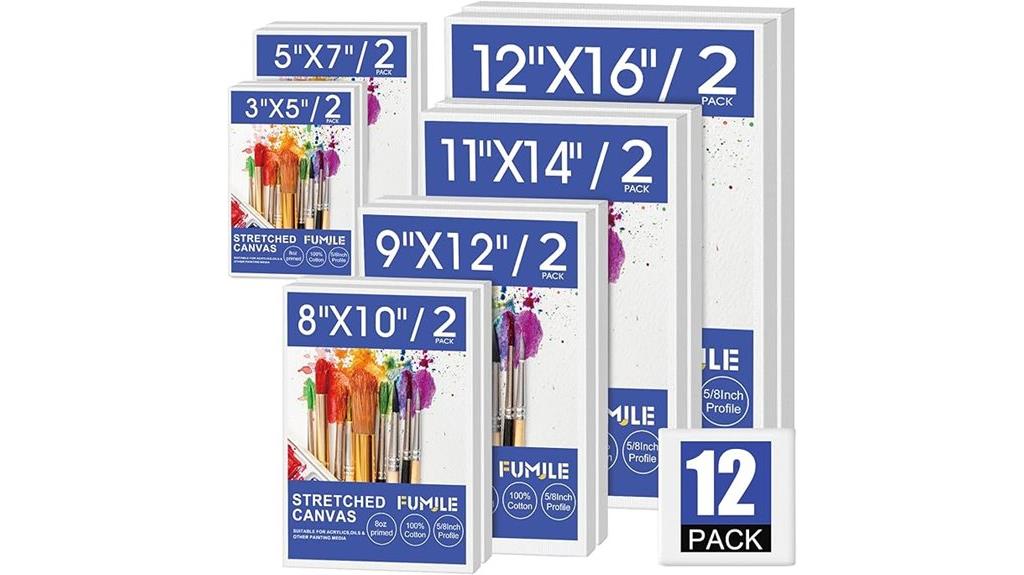 stretched canvas 12 pack