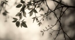 camera free image creation