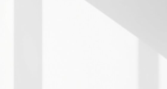 minimalism in 1960s art