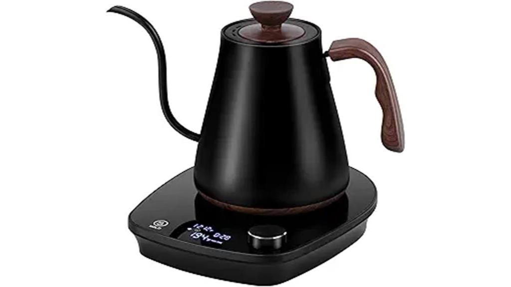 electric kettle with temperature control
