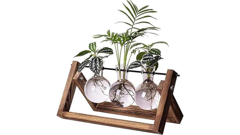 glass bulb plant propagation set
