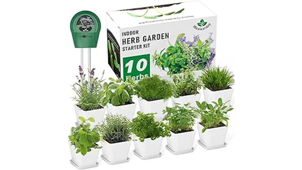 indoor herb garden kit