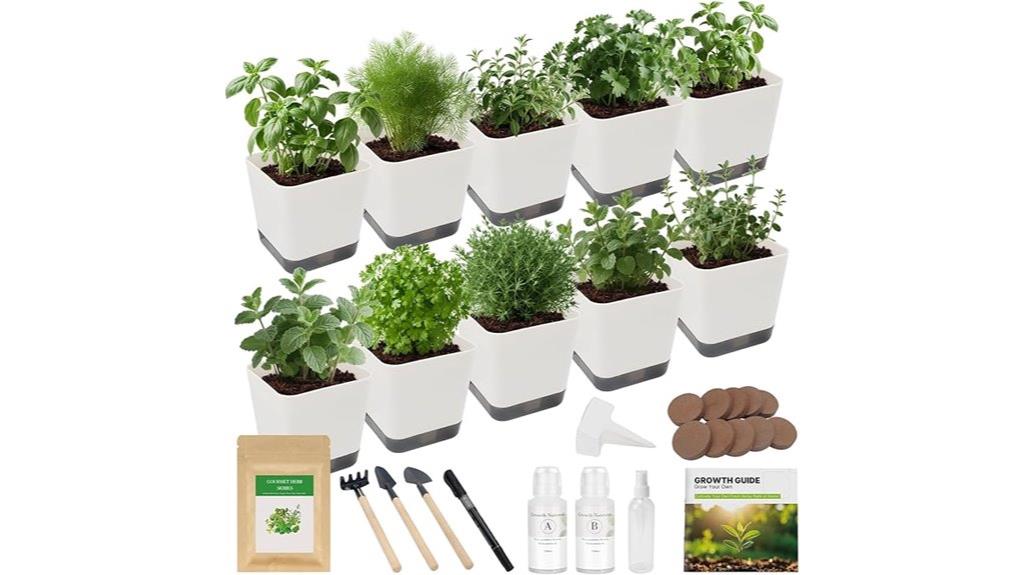indoor herb gardening kit