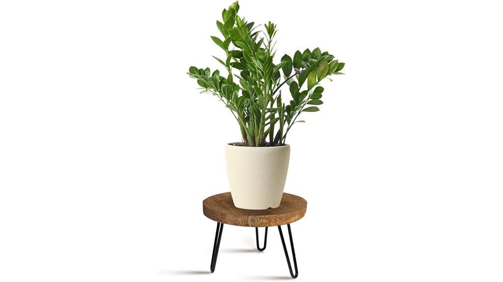wood indoor plant stand