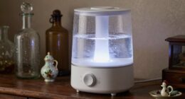 mold risk from humidifiers