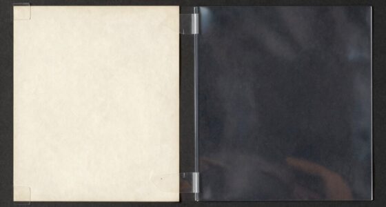 mounting methods conservation differences