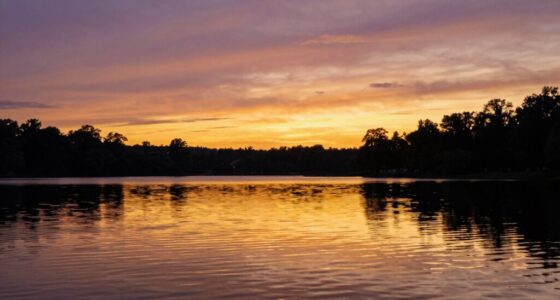 optimal screen exposure duration