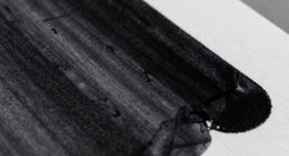 why blacks appear gray