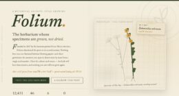 FOLIUM — A Living Herbarium — Seeded SVG L-systems (FABLE/175, room 4)