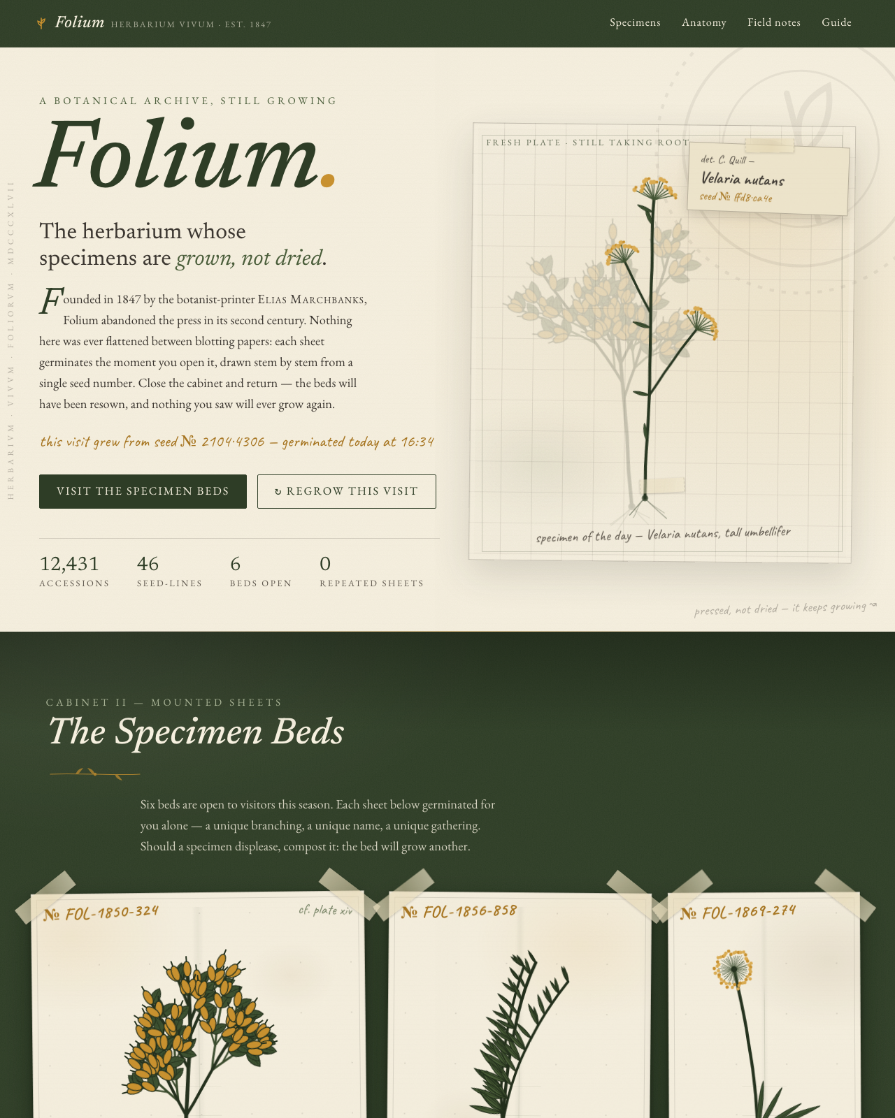 Live view of FOLIUM — A Living Herbarium