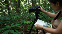 15 Best Wildlife Photography Books in 2026