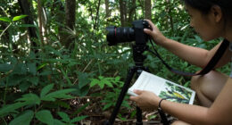15 Best Wildlife Photography Books in 2026