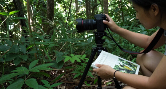 15 Best Wildlife Photography Books in 2026