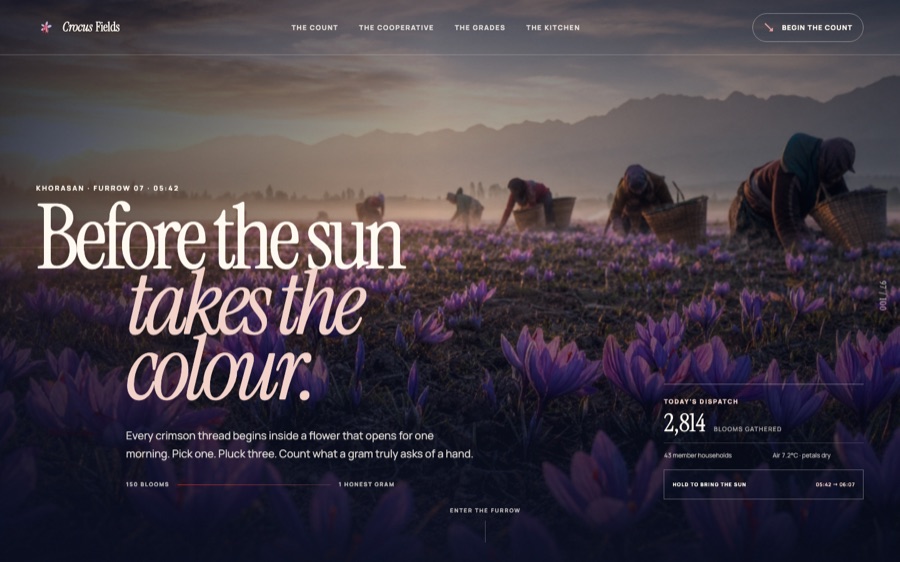 Crocus Fields — The Saffron Count (FABLE/175)