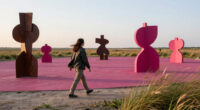 10 Years Later, Magenta Plains Is Still Embracing The Unexpected